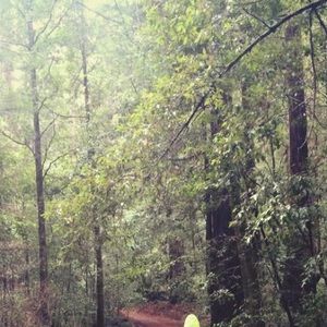 Meet your Posher, Omar